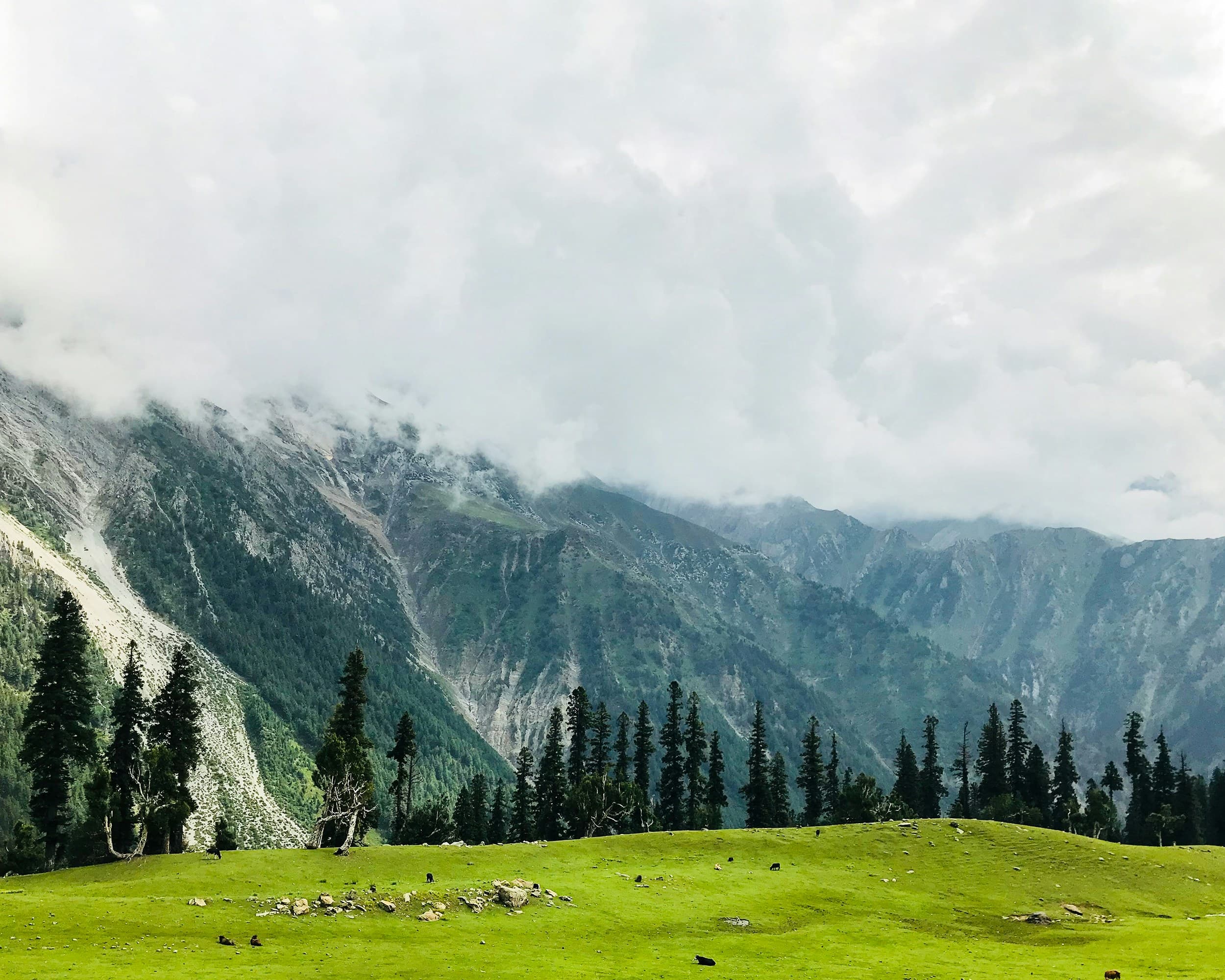 Kashmir Serenity